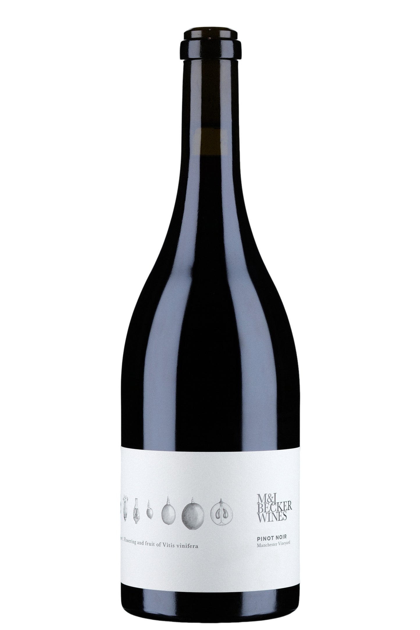 M&J Becker Manchester Vineyard Pinot Noir