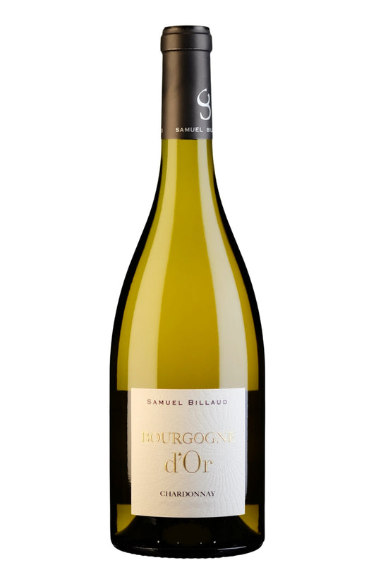 Samuel Billaud Bourgogne D'Or