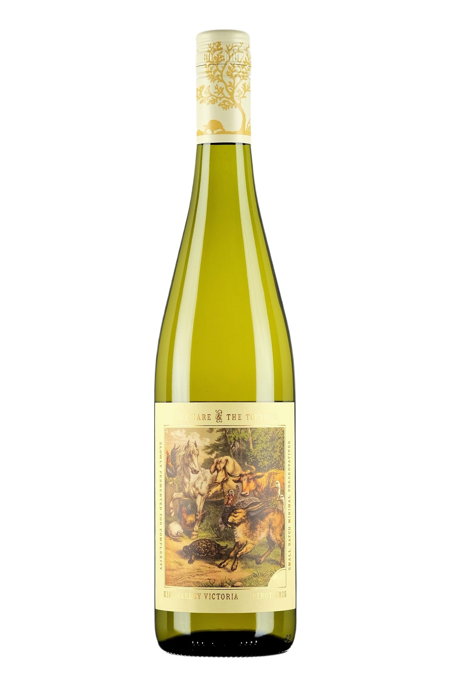 The Hare & The Tortoise Pinot Gris
